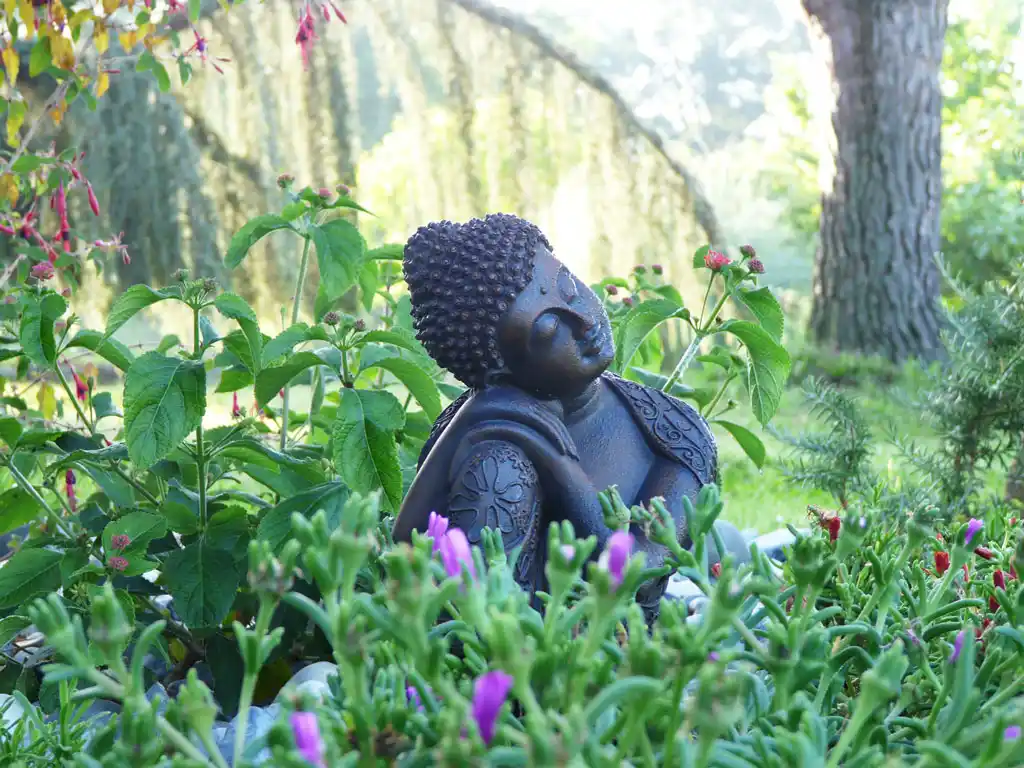 Gaia tree | Boudha méditation yoga