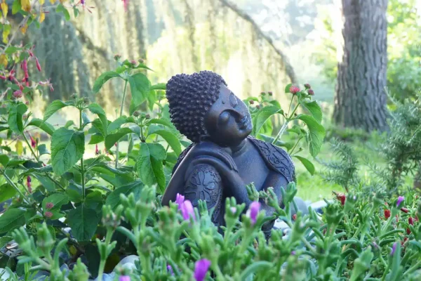 Gaia tree | Boudha méditation yoga