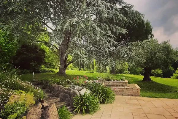 Gaia tree | Jardin école de yoga