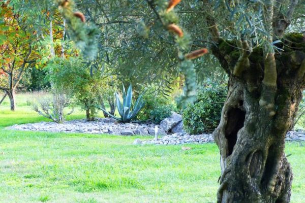 le parc